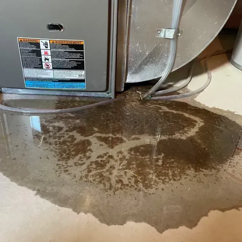 Appliance Leak Cleanup in Westcliffe, CO